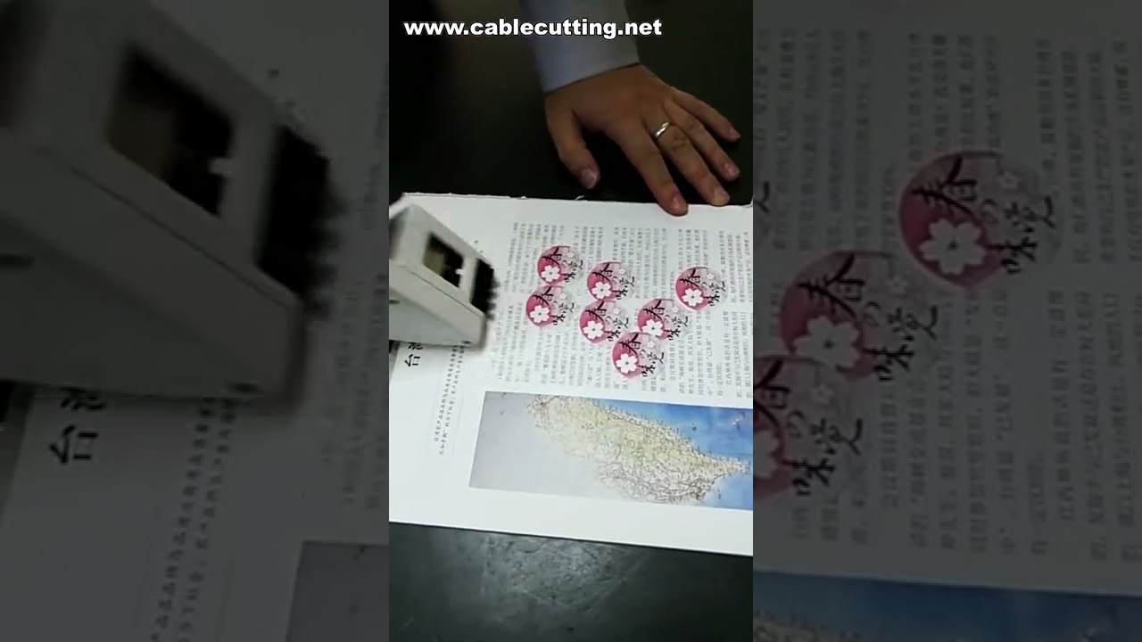 Macchina Ispezionatrice per Etichette Adesive – Moderna Macchina per Mini Bottiglie e Modelli Portatili