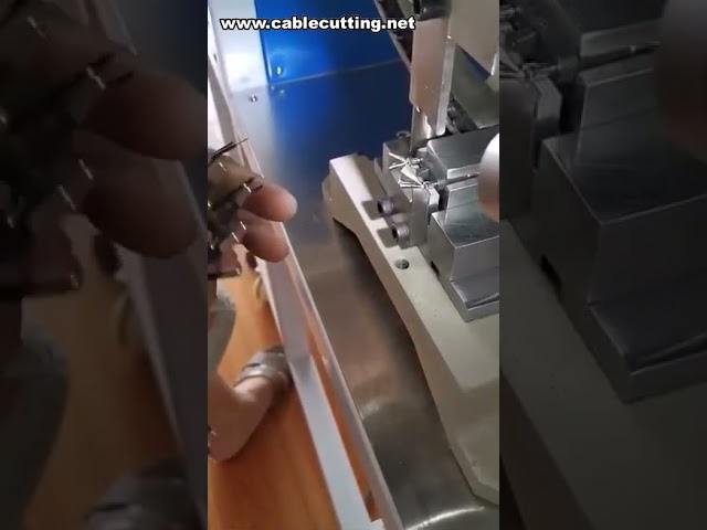 Macchina semiautomatica per crimpatura spine a 2 pin EU | Crimpatrice professionale