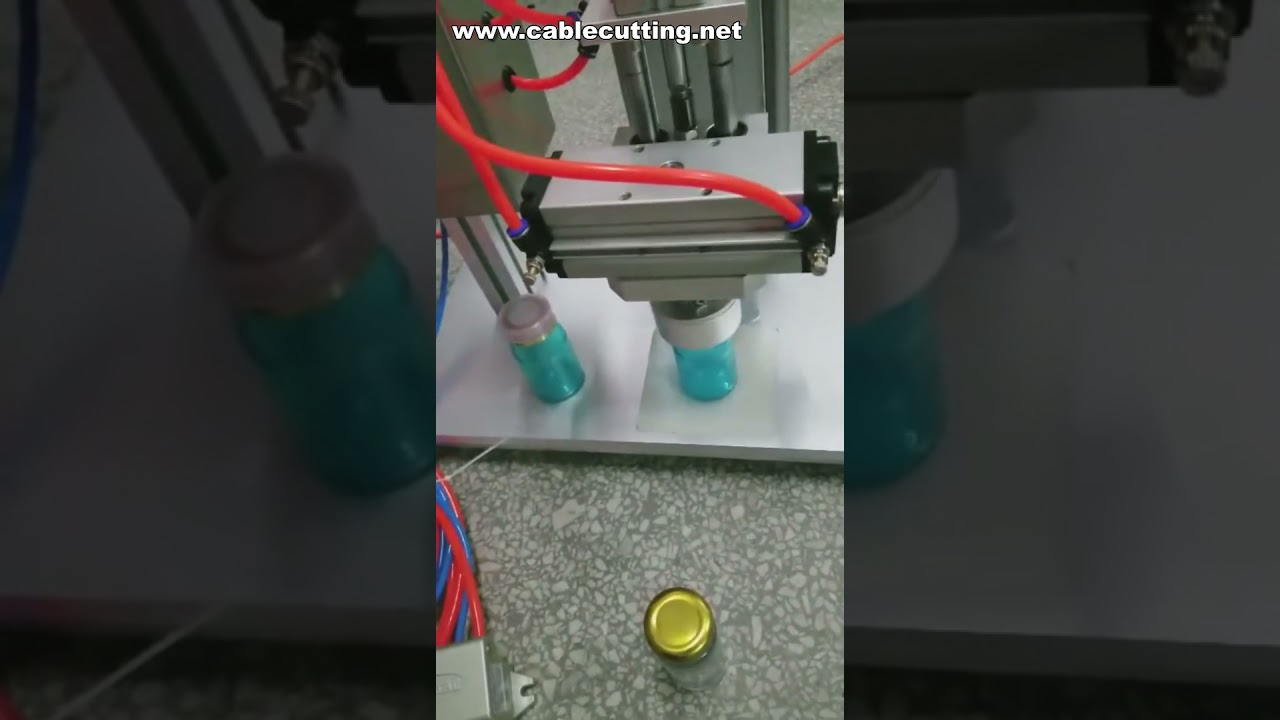 Macchina Tappatrice Pneumatica da Banco per Coperchi in Banda Stagnata e Tappi in Plastica
