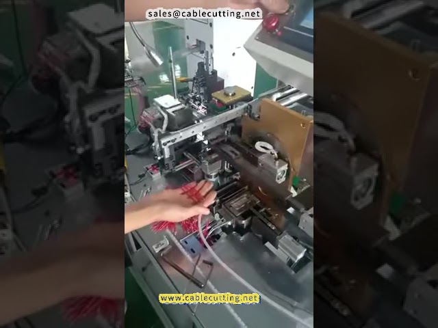 Macchina Stagnatrice Automatica a Doppia Testa per Immersione – Modello 2