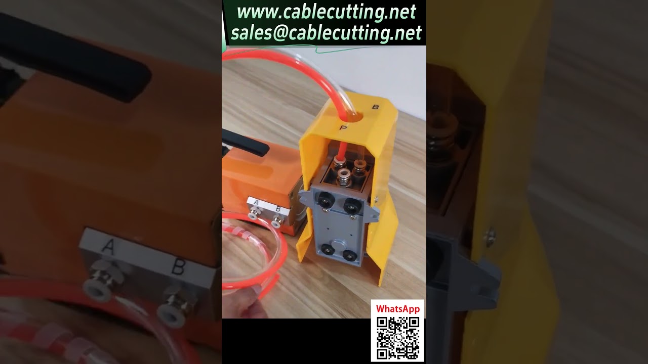 AM 10 Crimpatrice Pneumatica: Video Collegamenti | Supporto Matrici Personalizzate