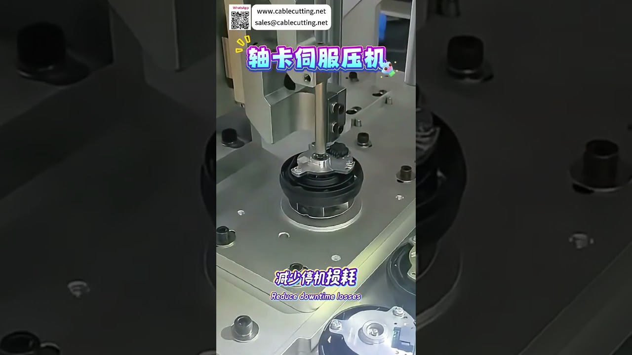 Sistema di pressa servo-assistita per clip albero: Pressatura automatica di precisione