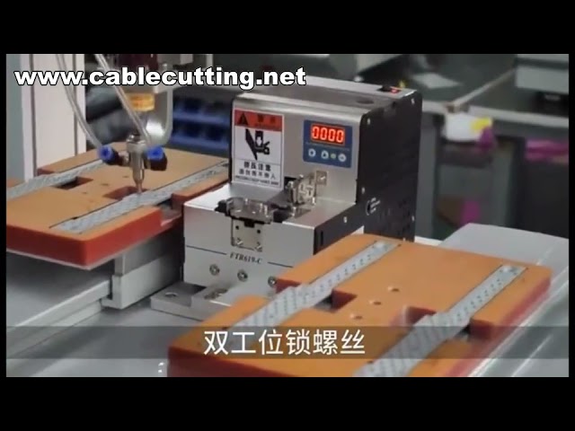 Macchina Avvitaviti Automatica, Robot per Serraggio Viti, Avvitatore Industriale di Precisione