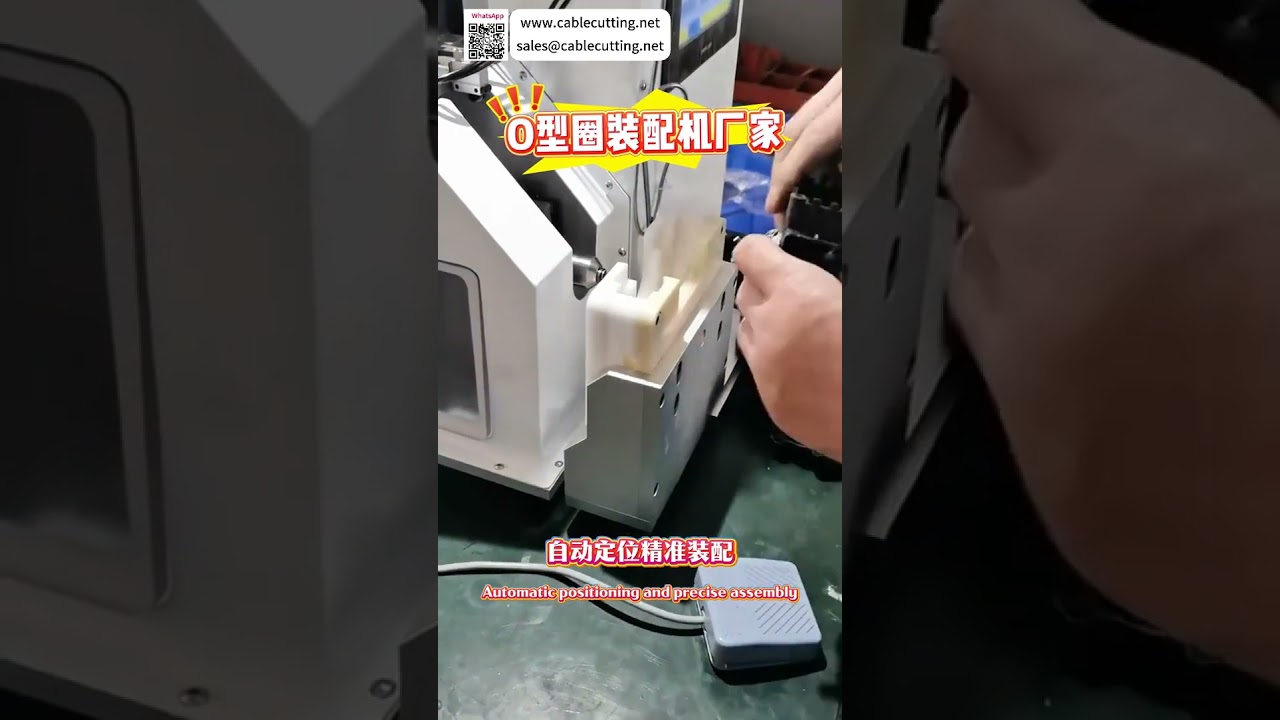 Macchina Automatica per Assemblaggio O-Ring Personalizzati | Alta Consistenza e Precisione