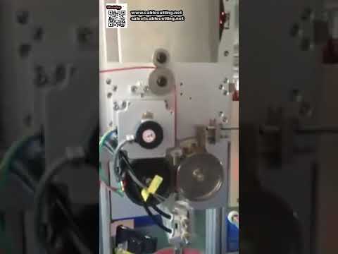 Macchina automatica per avvolgimento e confezionamento in blister di bobine per filo tagliaerba