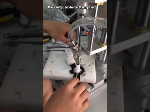 Macchina Avvitatrice Automatica Mini: Serraggio e Fissaggio con Punterie Multiple Industriali