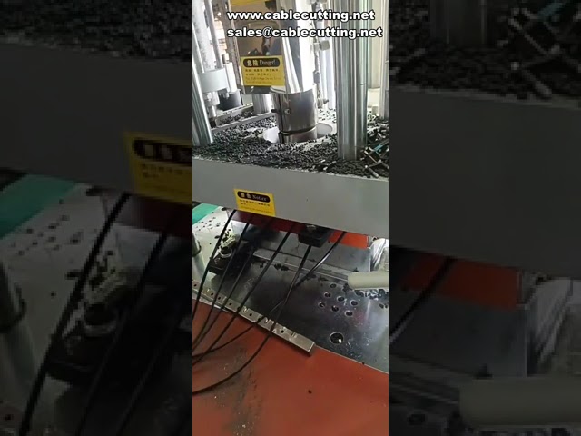 Macchina per stampaggio cavi dati, pressa verticale compatta a quattro colonne