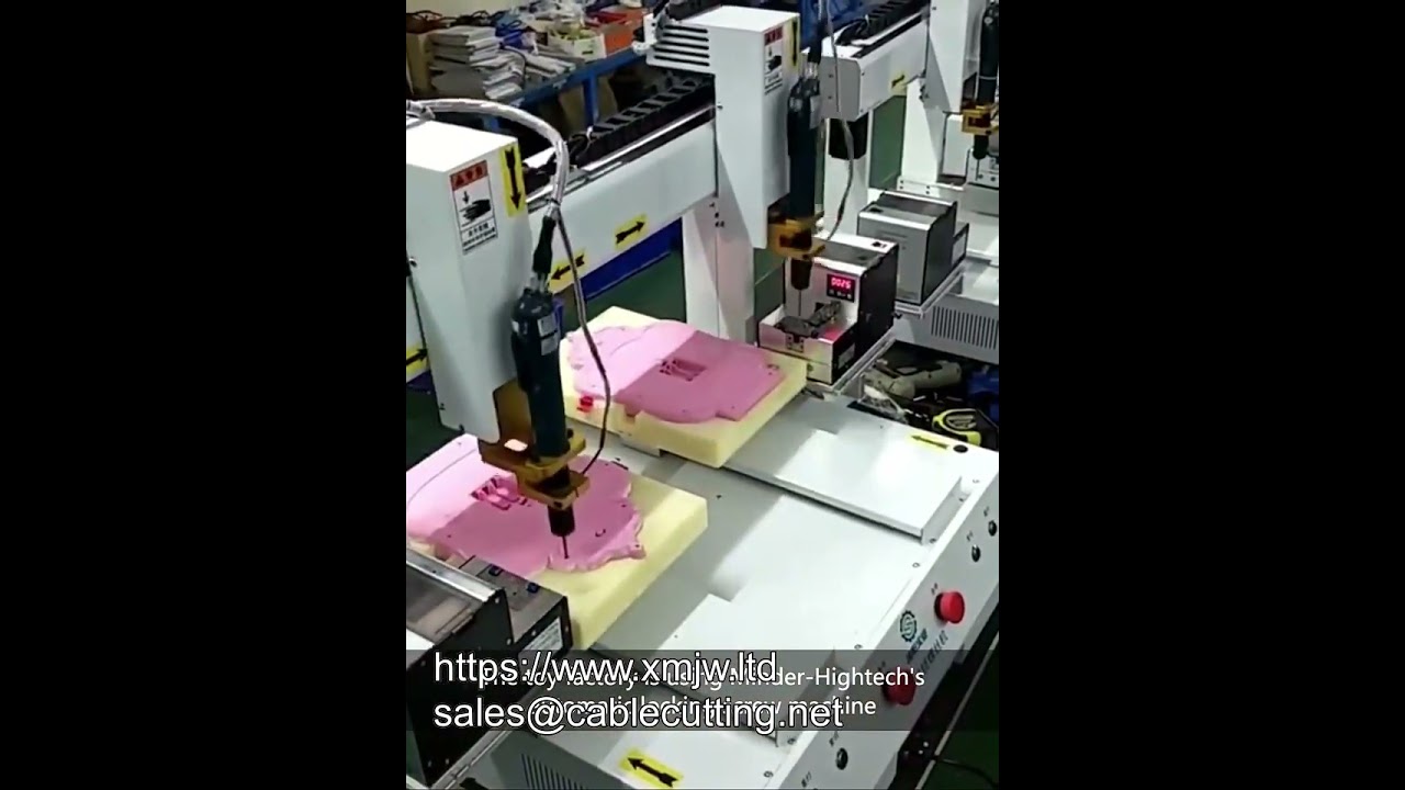 Macchina automatica per avvitare con carico/scarico e aspirazione - Direttamente dalla fabbrica
