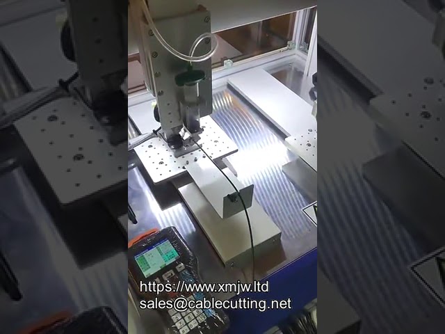 Macchina Erogatrice Colla AB a 3 o 4 Assi da Tavolo Personalizzata – Precisione e Affidabilità