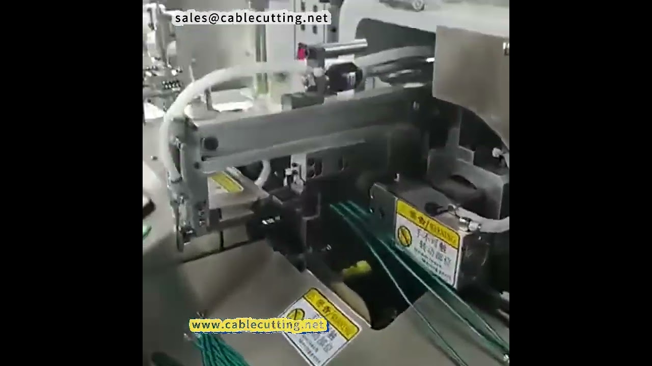 Macchina automatica per stagnatura a doppia testa per fili